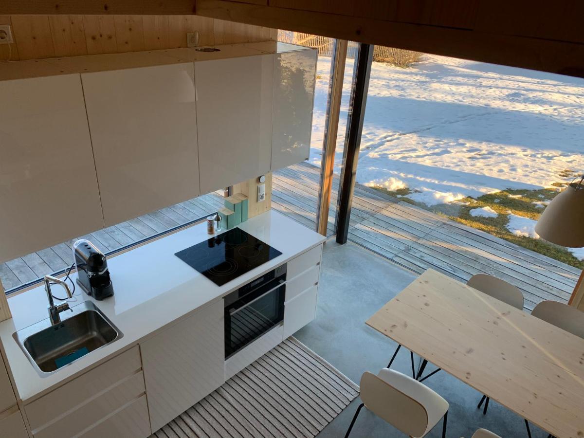 Modern & Homely Nature-Apartemt Ramsau am Dachstein Dış mekan fotoğraf